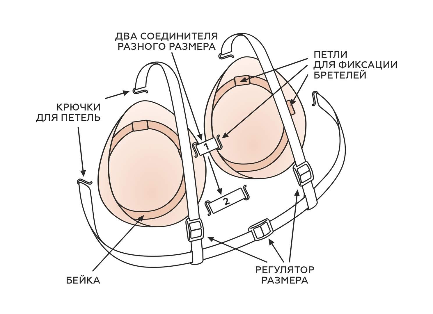 Имитатор молочной железы на брелелях C — изображение 4
