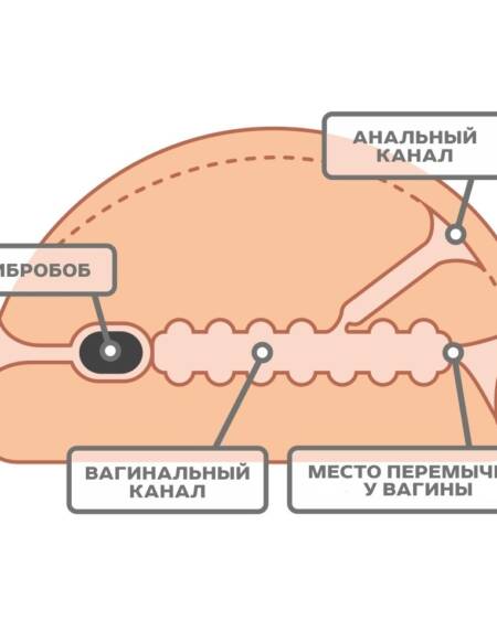 Мастурбатор БИОКЛОН